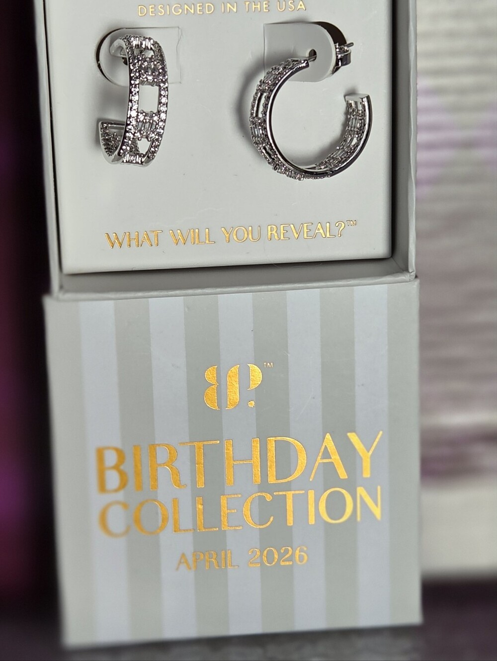 The Bradford Exchange The Island Hoop Earrings in Silver NWT